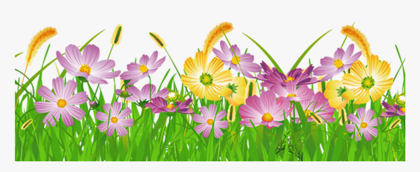 Detail Transparent Background Flower Png Nomer 34