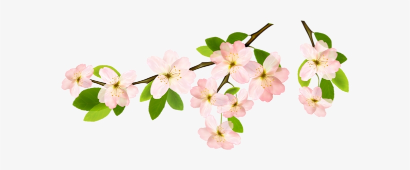 Detail Transparent Background Flower Png Nomer 47