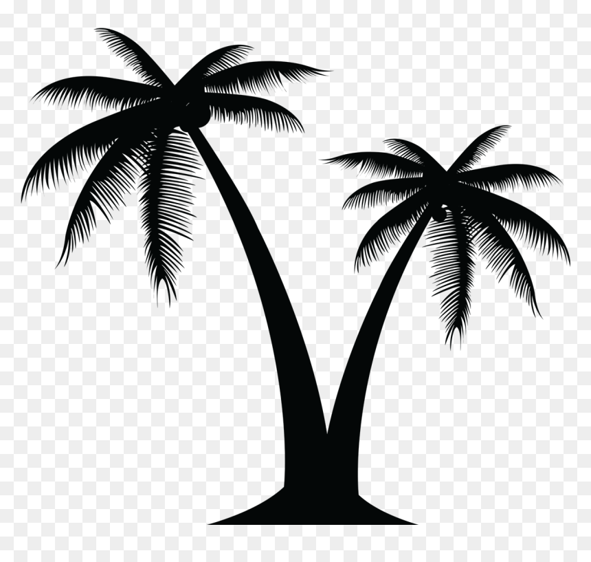 Detail Transparent Background Palm Tree Nomer 23