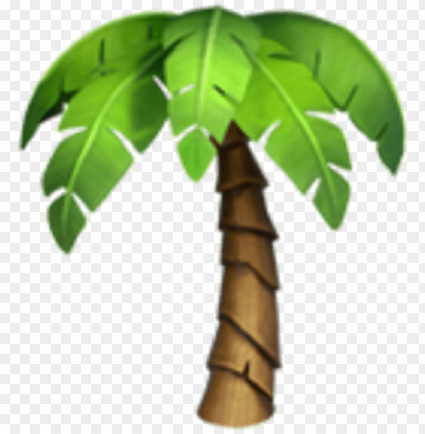 Detail Transparent Background Palm Tree Nomer 35