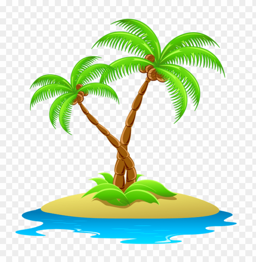 Detail Transparent Background Palm Tree Nomer 41