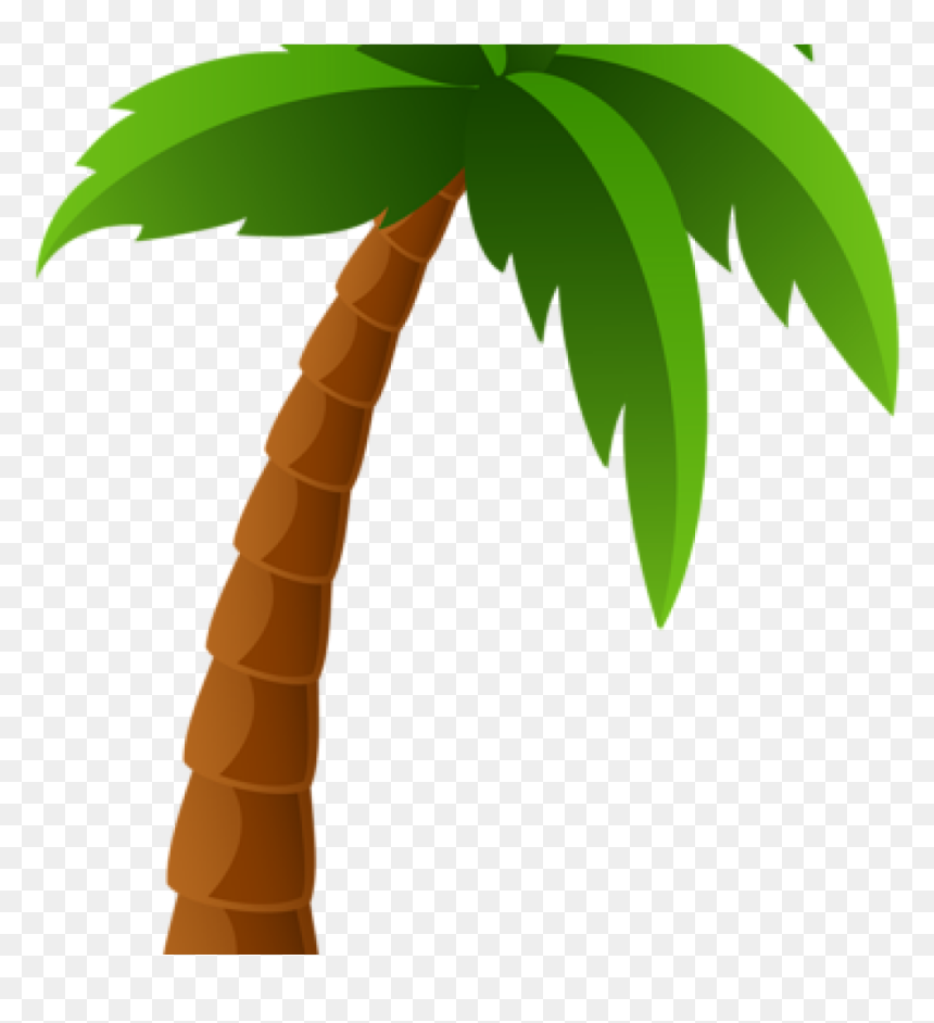 Detail Transparent Background Palm Tree Nomer 54