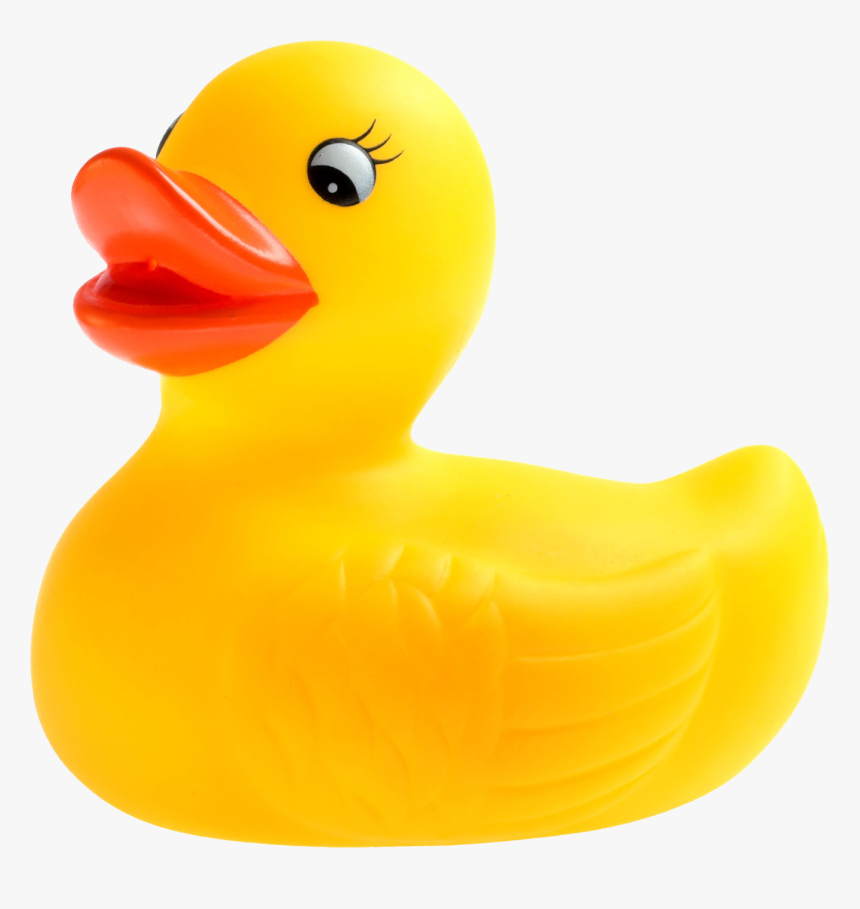 Transparent Background Rubber Duck Png - KibrisPDR