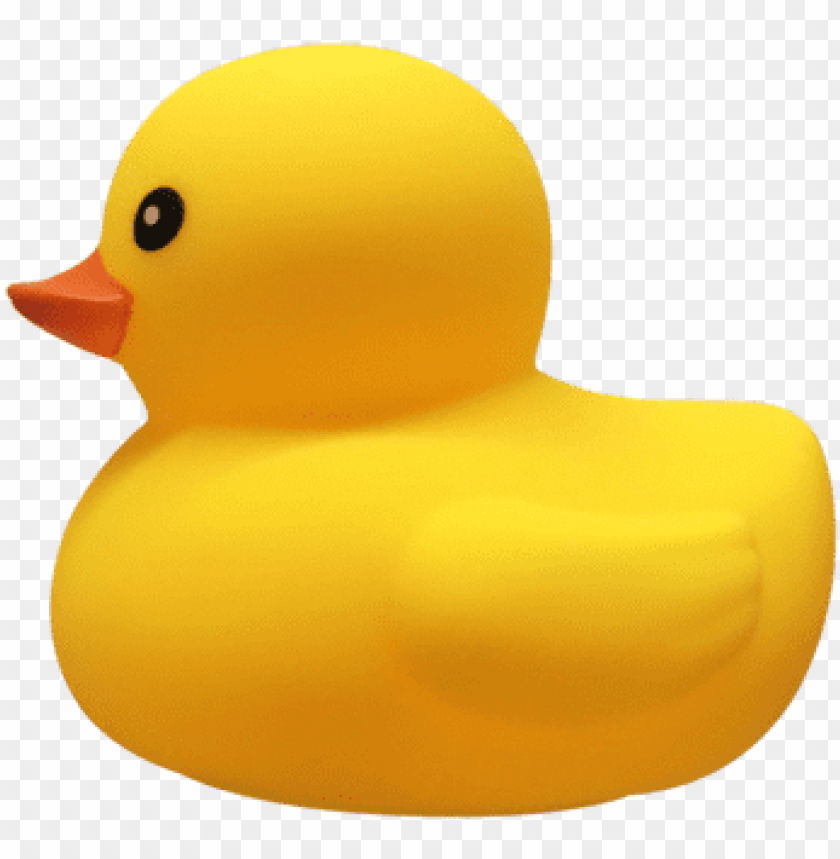 Detail Transparent Background Rubber Duck Png Nomer 15