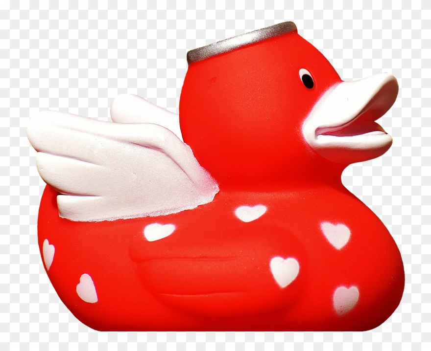 Detail Transparent Background Rubber Duck Png Nomer 49