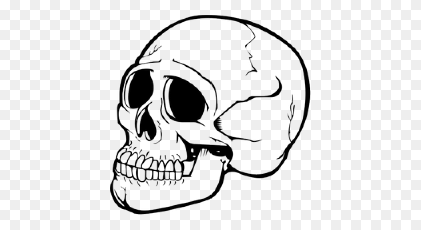 Detail Transparent Background Skull Nomer 16