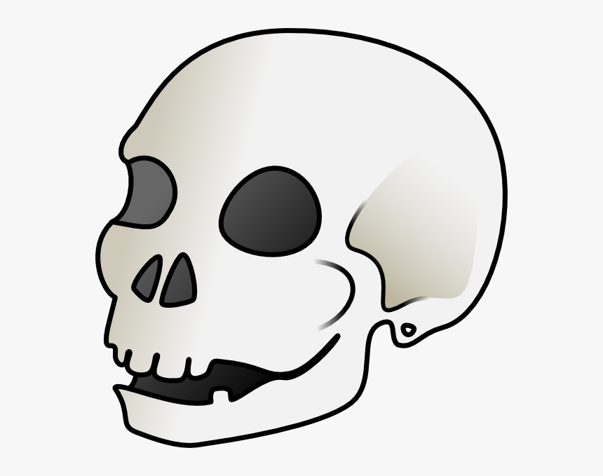 Detail Transparent Background Skull Nomer 19