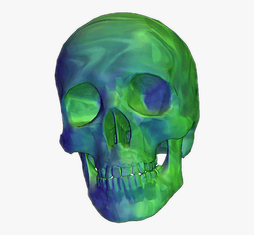 Detail Transparent Background Skull Nomer 26