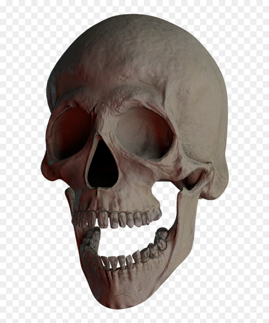 Detail Transparent Background Skull Nomer 29