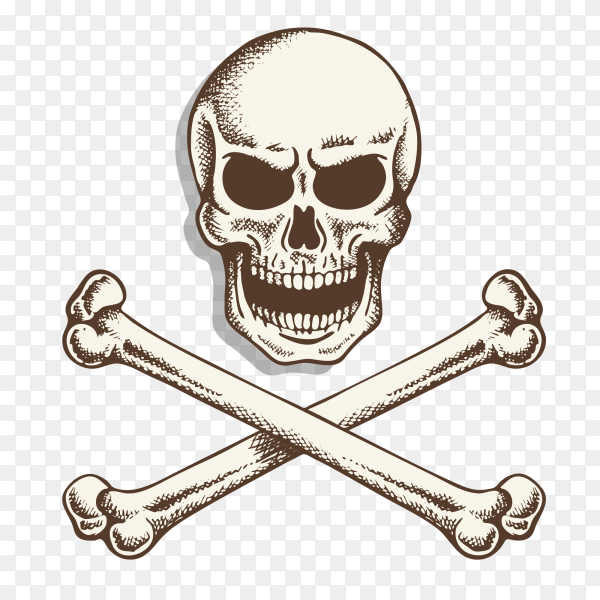 Detail Transparent Background Skull Nomer 31