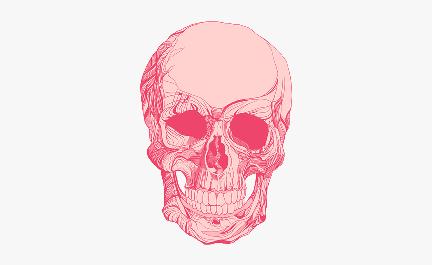 Detail Transparent Background Skull Nomer 33
