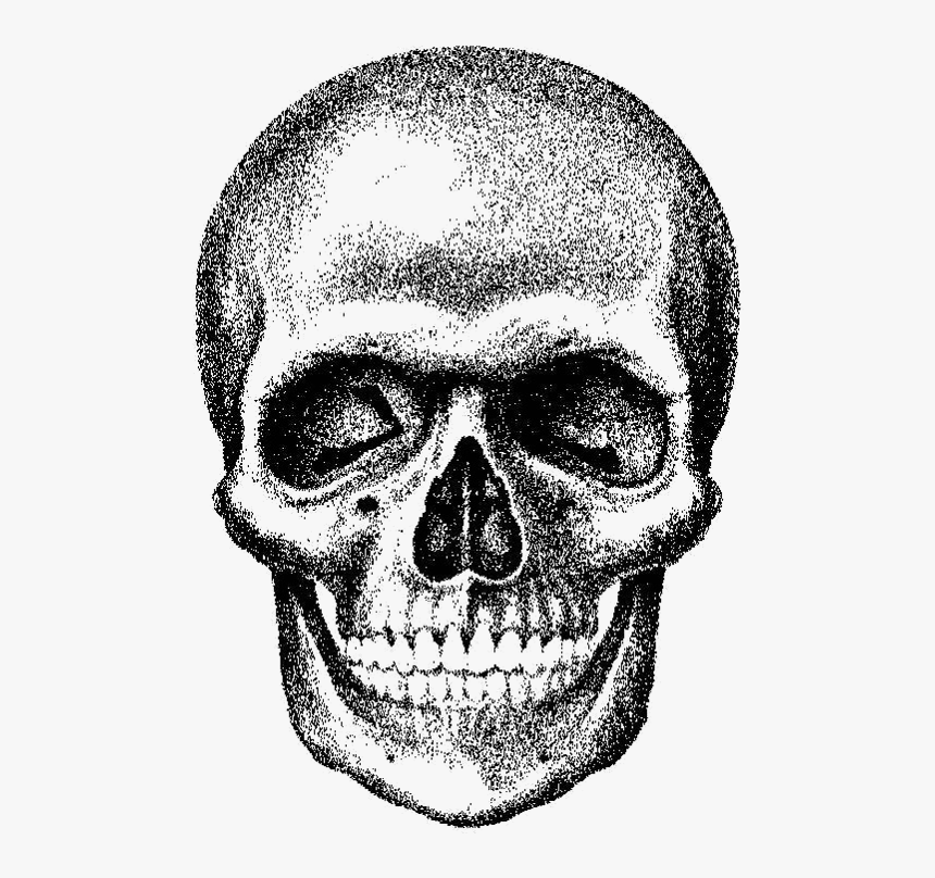 Detail Transparent Background Skull Nomer 41