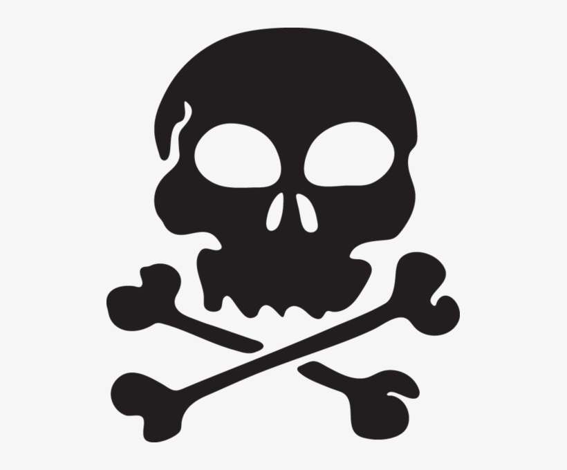 Detail Transparent Background Skull Nomer 42