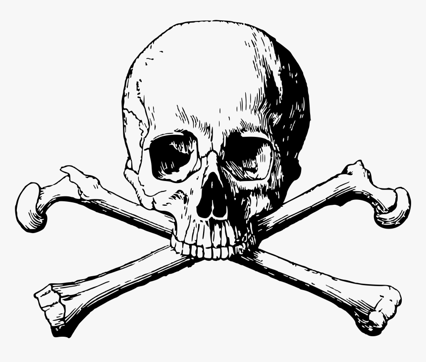 Detail Transparent Background Skull Nomer 45