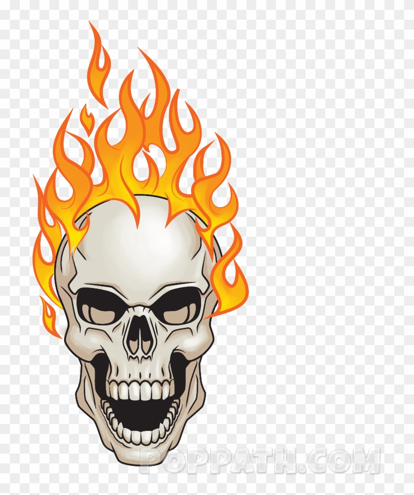 Detail Transparent Background Skull Nomer 46