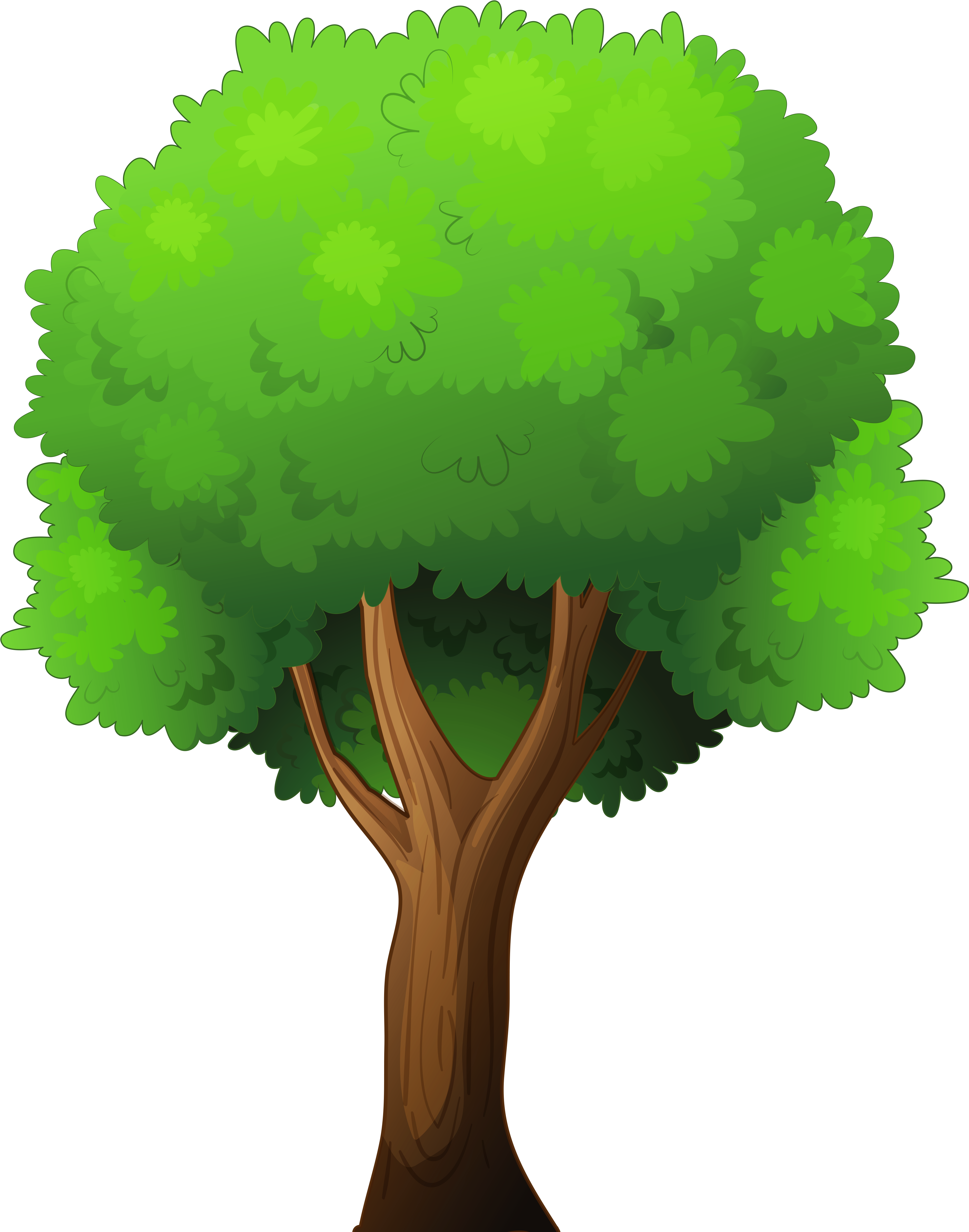 Transparent Background Tree - KibrisPDR