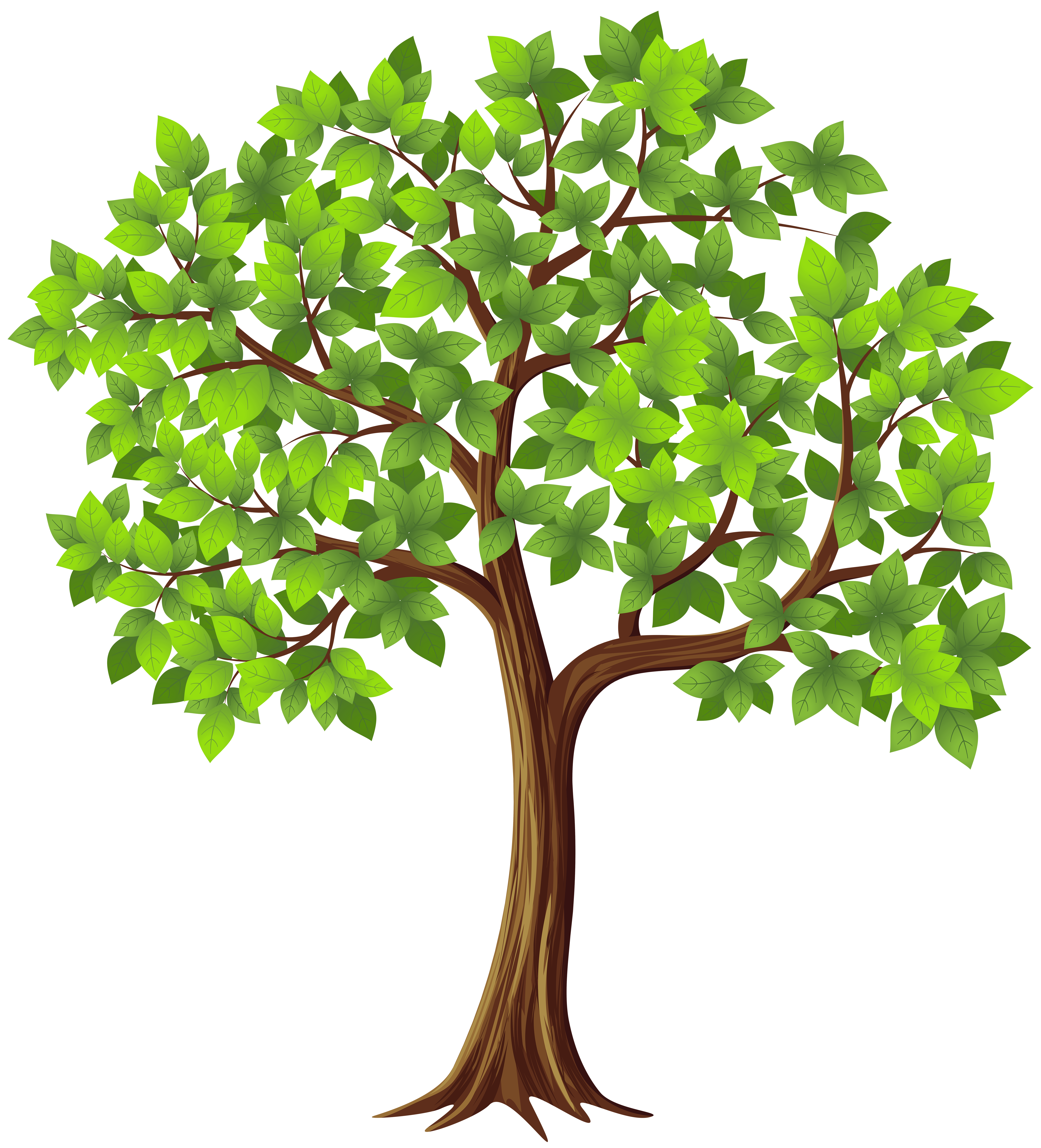 Detail Transparent Background Tree Nomer 13