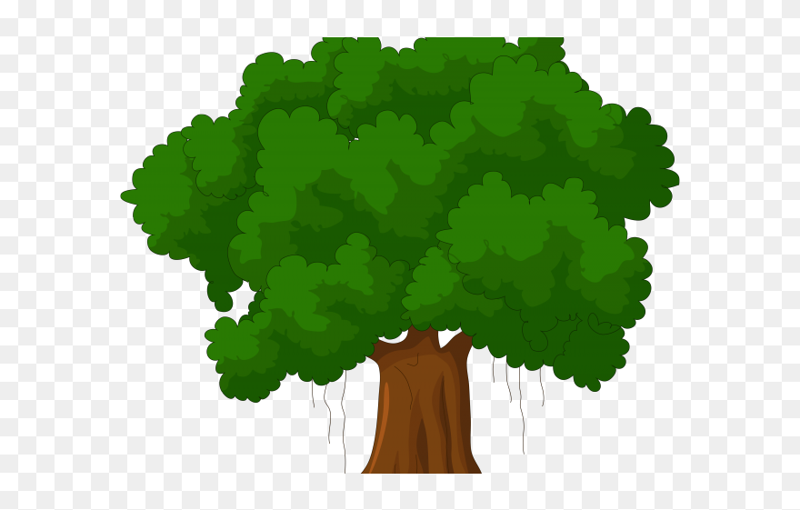 Detail Transparent Background Tree Nomer 15