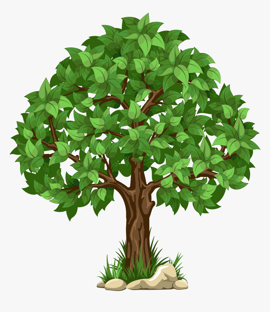 Detail Transparent Background Tree Nomer 27