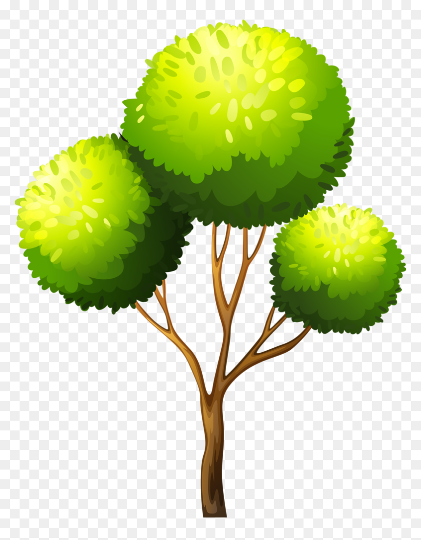 Detail Transparent Background Tree Nomer 57