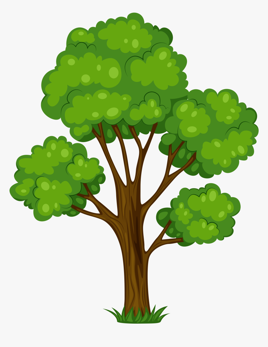 Detail Transparent Background Tree Nomer 7