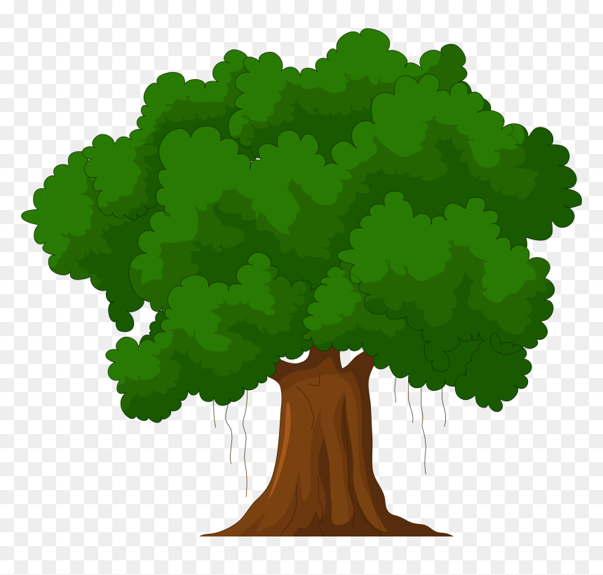 Detail Transparent Background Tree Png Nomer 35