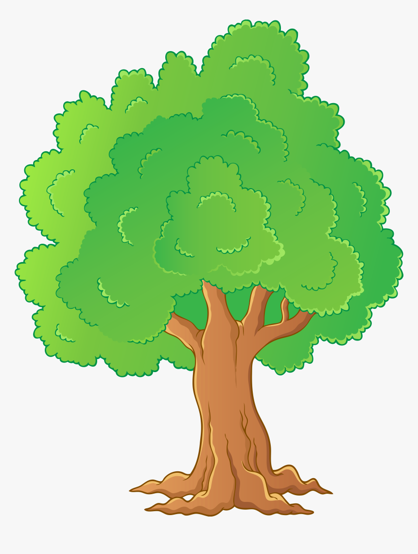 Detail Transparent Background Tree Png Nomer 36