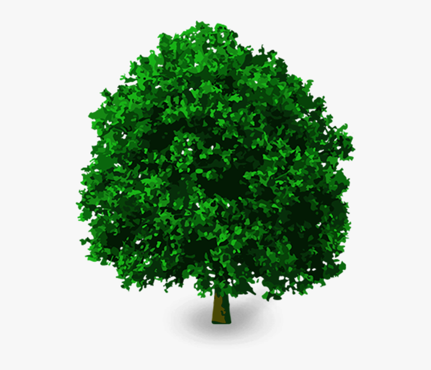 Detail Transparent Background Tree Png Nomer 43