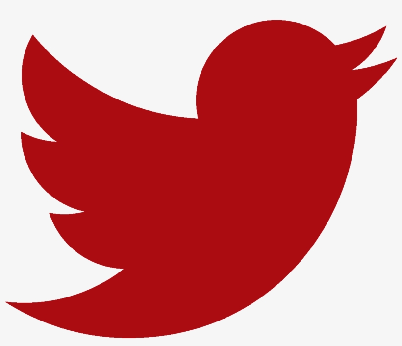 Detail Transparent Background Twitter Logo Nomer 39