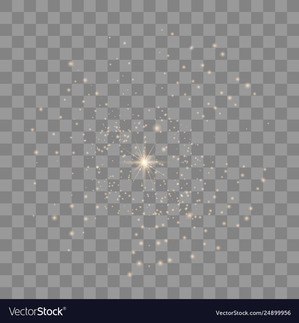 Detail Transparent Background Vector Nomer 18