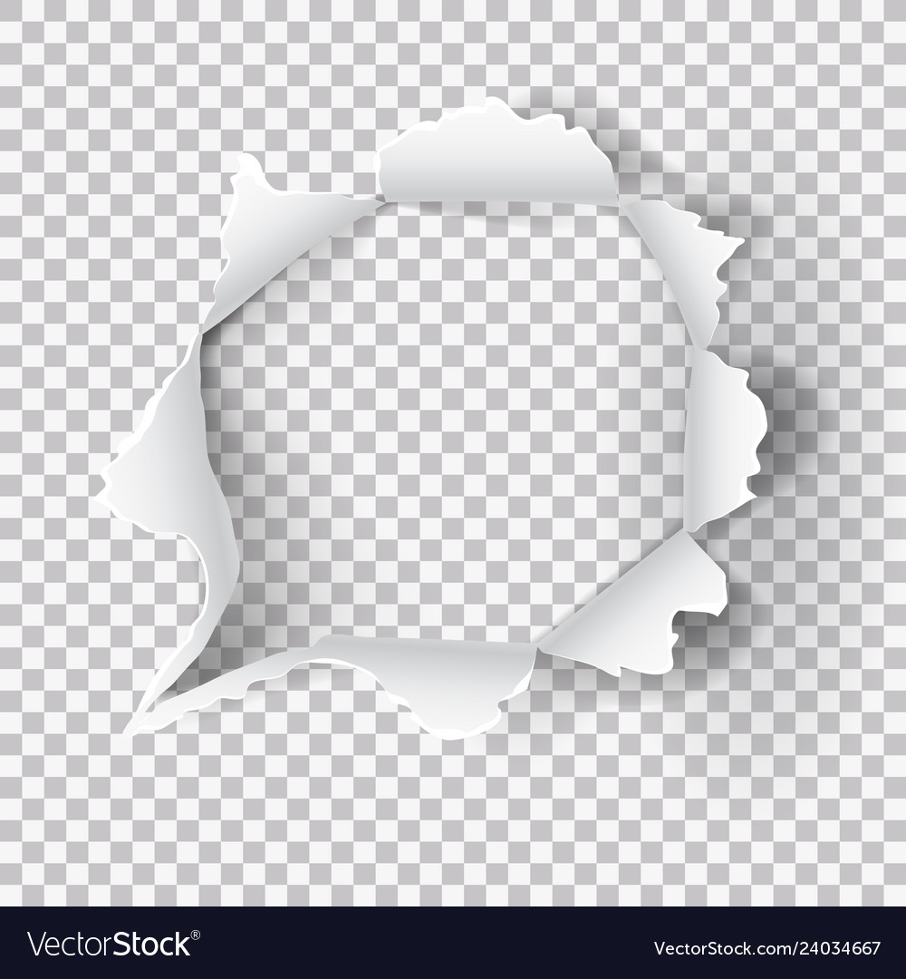 Detail Transparent Background Vector Nomer 4