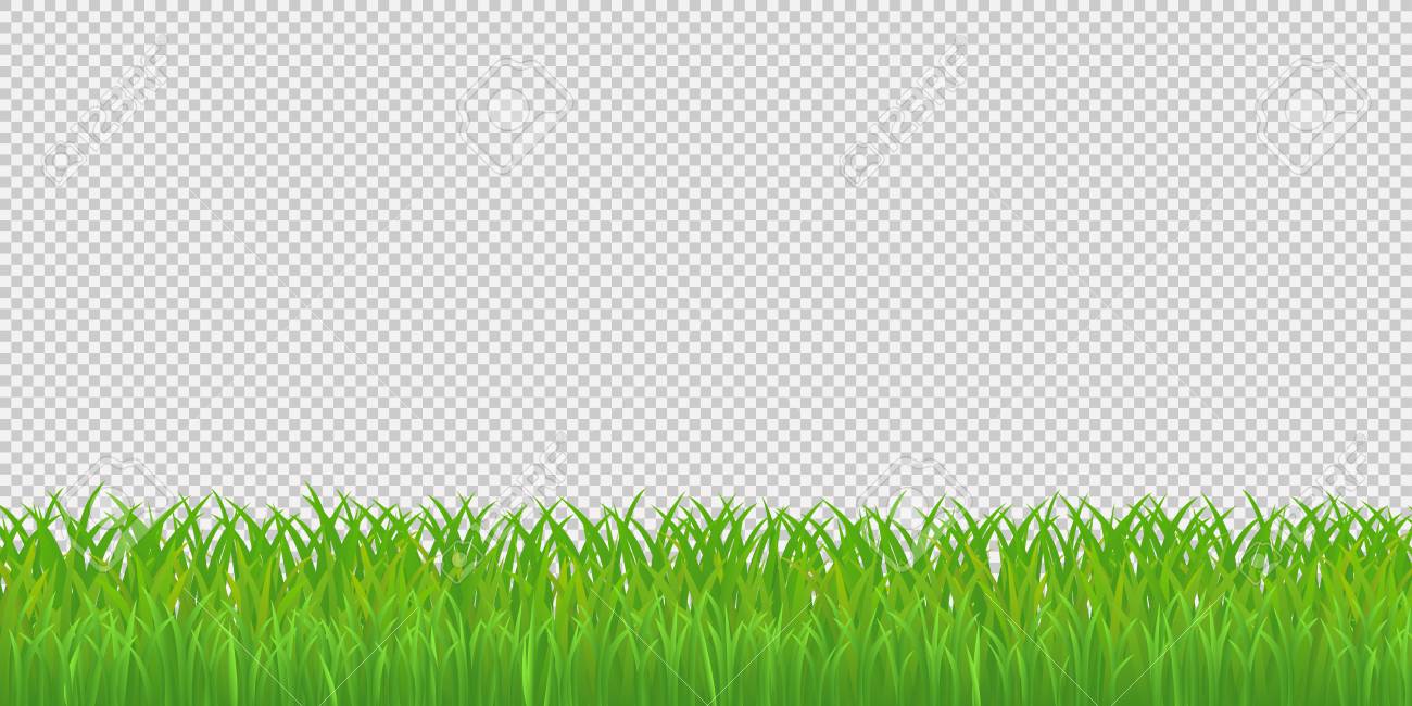 Detail Transparent Background Vector Nomer 52