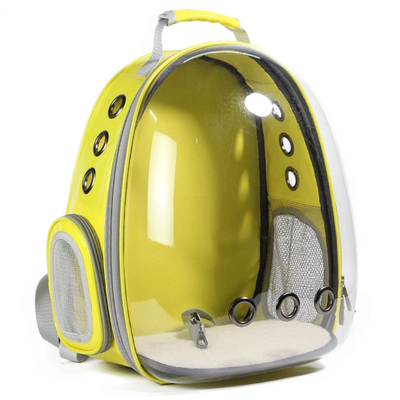Detail Transparent Backpack Image Nomer 33