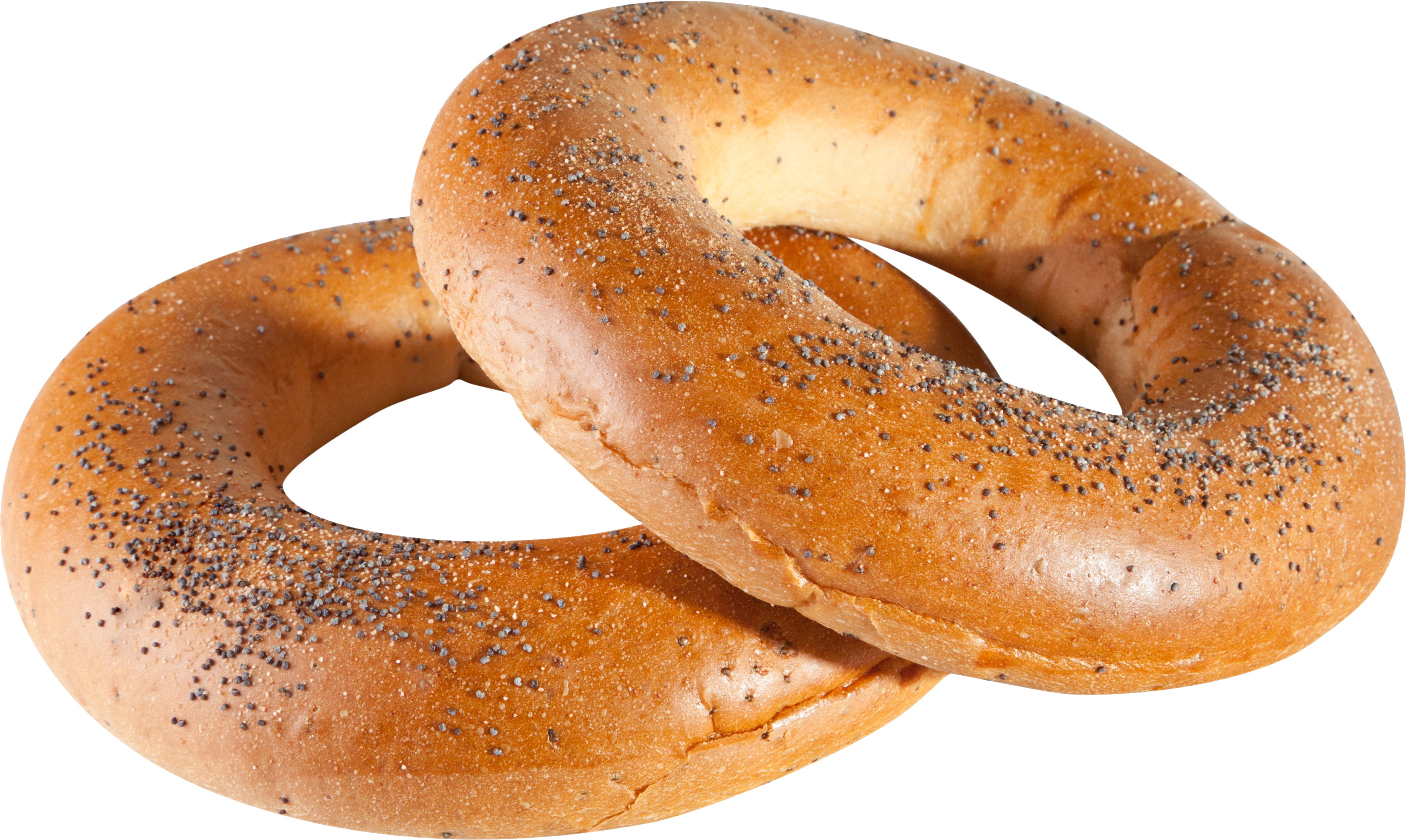 Detail Transparent Bagel Nomer 35