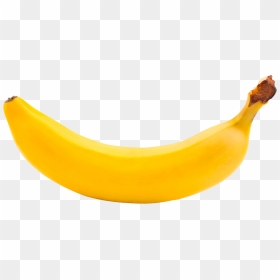 Detail Transparent Banana Nomer 20