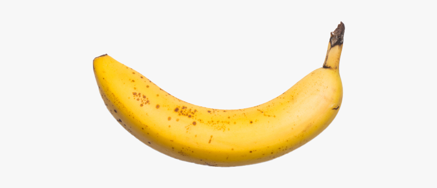 Detail Transparent Banana Nomer 21