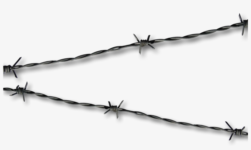 Detail Transparent Barbed Wire Nomer 29