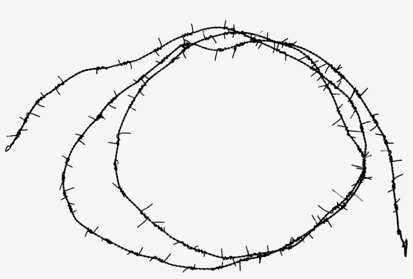 Detail Transparent Barbed Wire Nomer 31