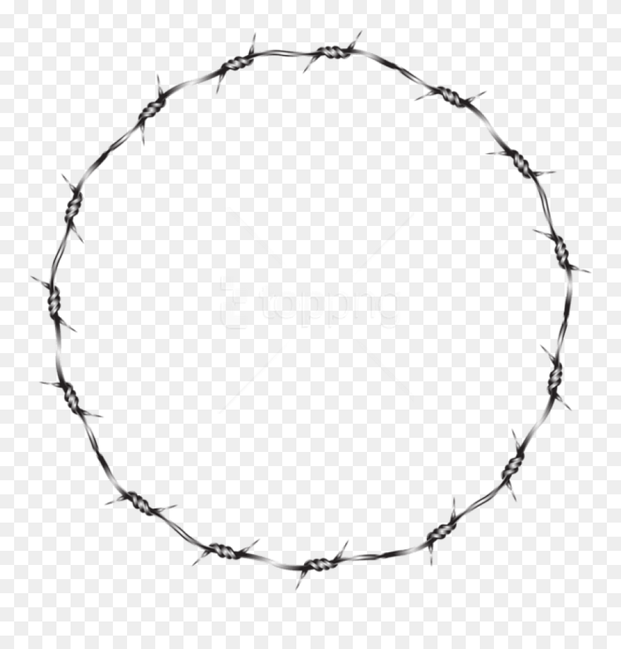 Detail Transparent Barbed Wire Nomer 34