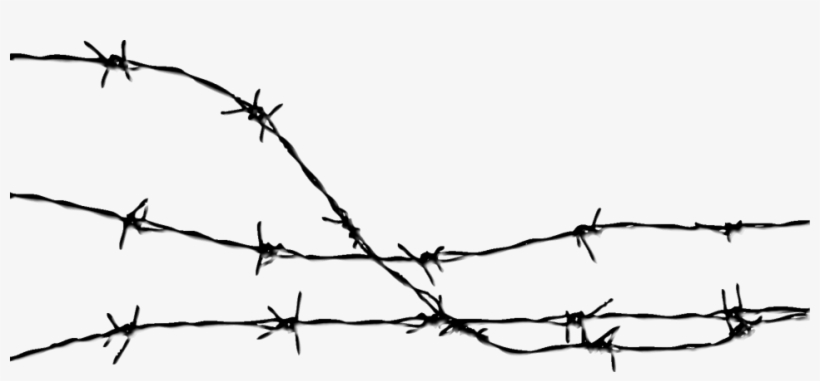 Detail Transparent Barbed Wire Fence Nomer 31