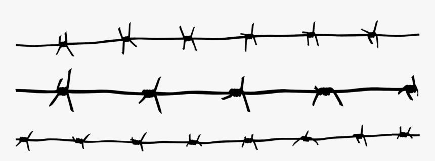 Detail Transparent Barbed Wire Fence Nomer 34