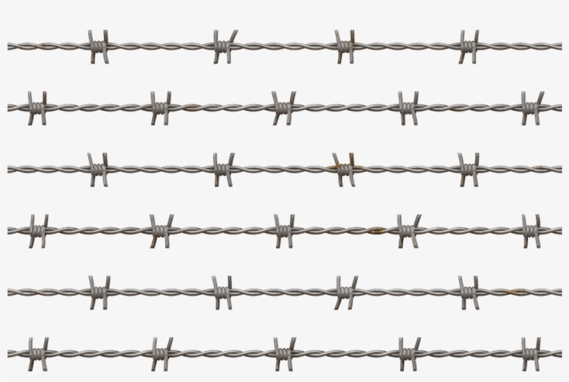 Detail Transparent Barbed Wire Fence Nomer 35