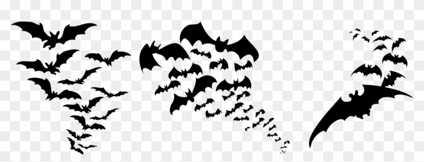 Detail Transparent Bats Nomer 20