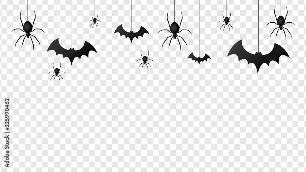 Detail Transparent Bats Nomer 24