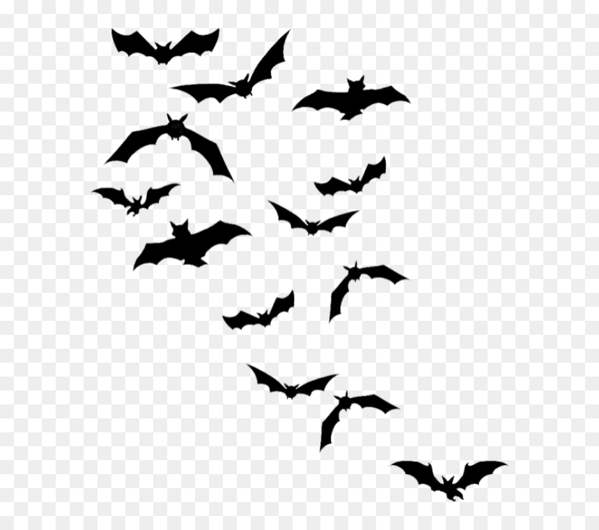 Detail Transparent Bats Nomer 38