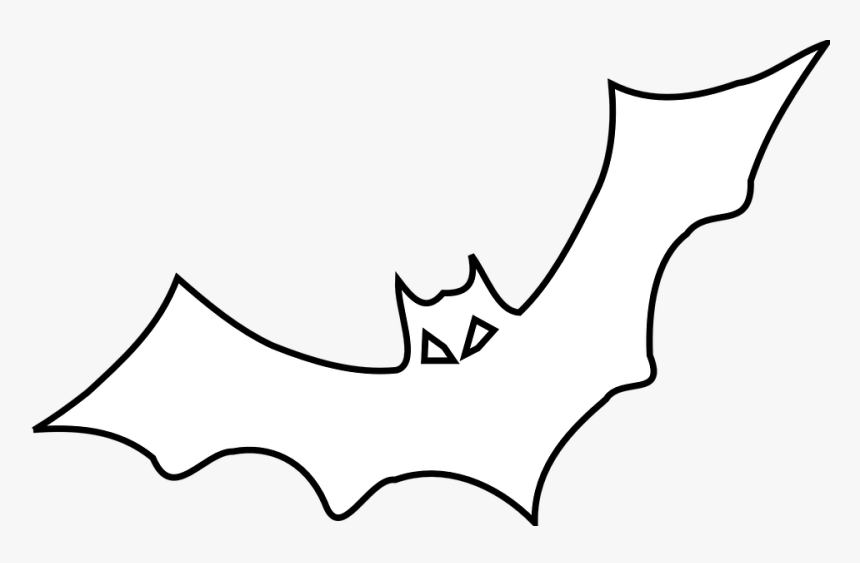Detail Transparent Bats Nomer 39