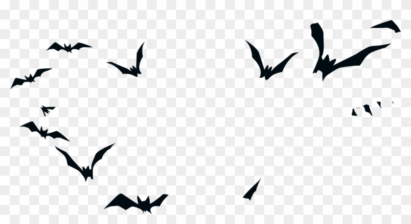 Detail Transparent Bats Nomer 41