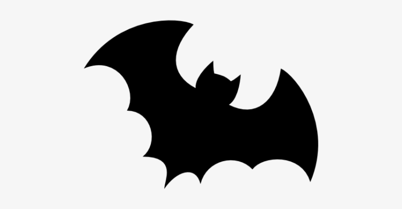 Detail Transparent Bats Nomer 47