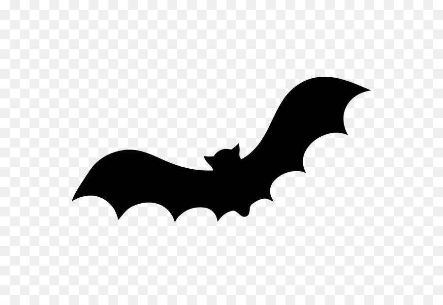 Detail Transparent Bats Nomer 50