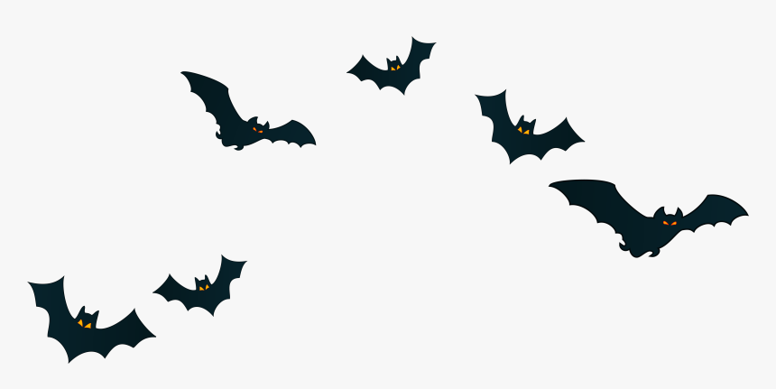 Detail Transparent Bats Nomer 7